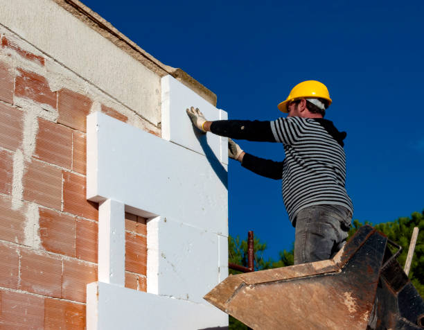 Best Cellulose Insulation in La Honda, CA