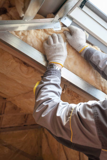 Best Geographic-Specific Insulation Services in La Honda, CA