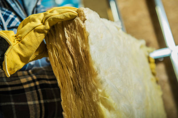 Best Specialized Insulation Services in La Honda, CA